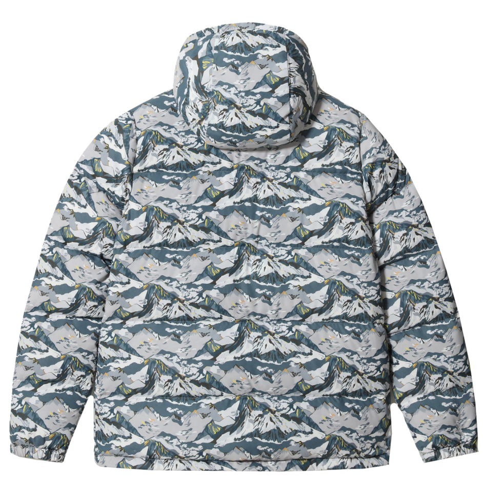 The North Face Womens Liberty Print Sierra Down Jacket / Blue / RRP £400