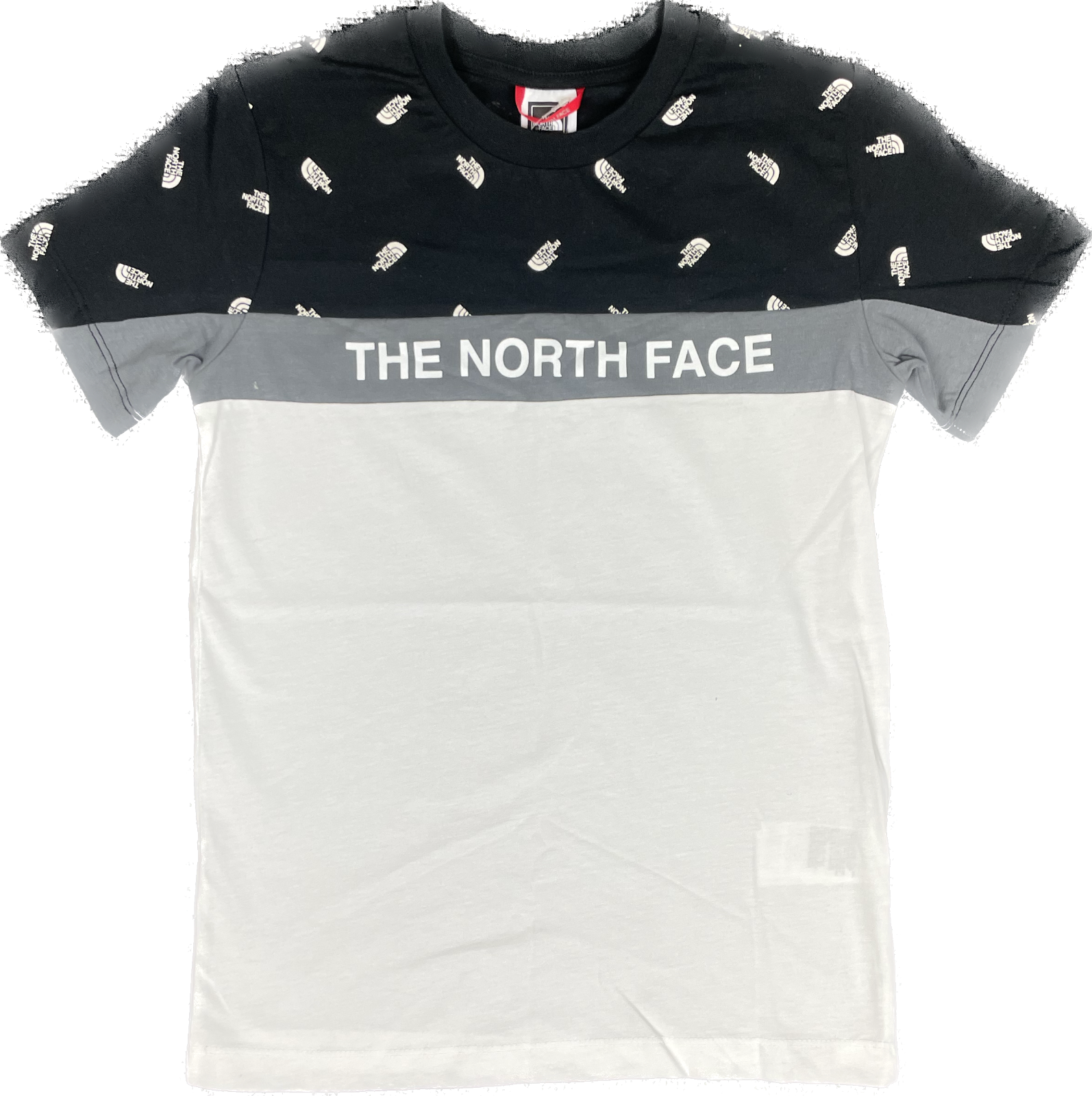 The North Face Kids Roche T-Shirt / White Grey / Rrp £25