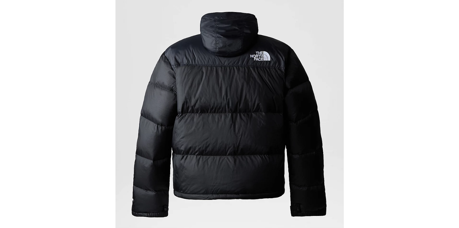 The North Face Women'S Plus Size Nuptse Jacket / Black / RRP £300