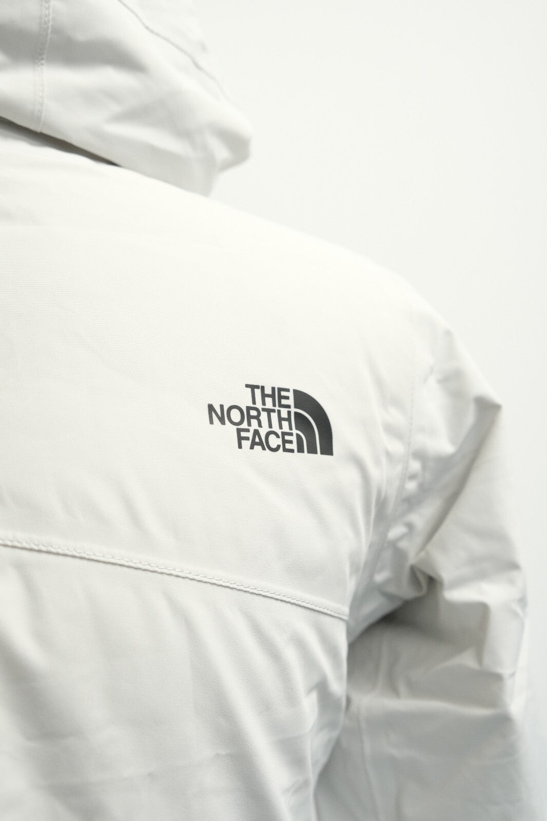 The North Face Womens Descendit Jacket / Grey / RRP £270