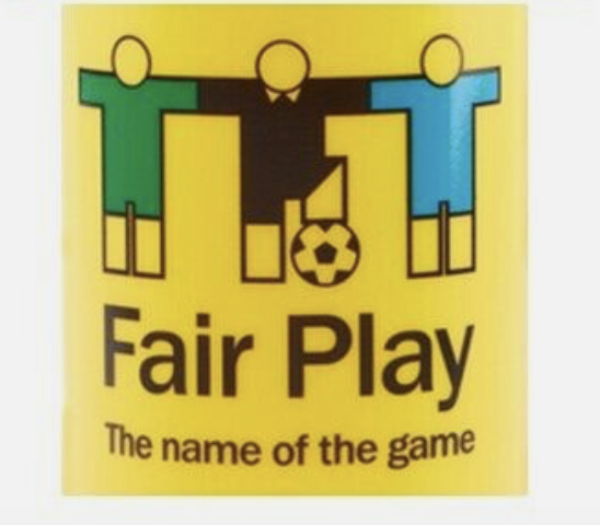 Fair Play Euro 96 Iconic Rare Water Bottle / Brand New