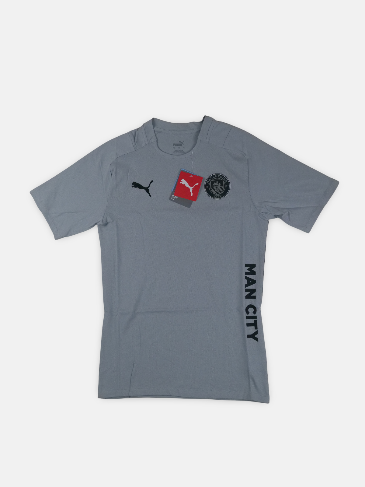 Puma Mens 2021-22 Manchester City Puma Football T-shirt / Grey / RRP £34.99