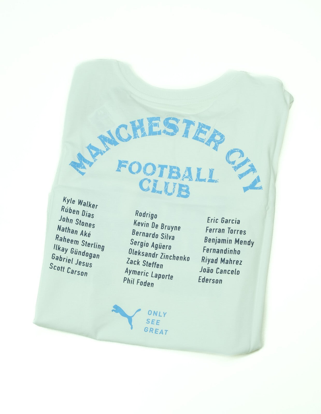 Manchester City 2020-21 Puma 'Premier League Champions' Tee / Kids / RRP £19.99