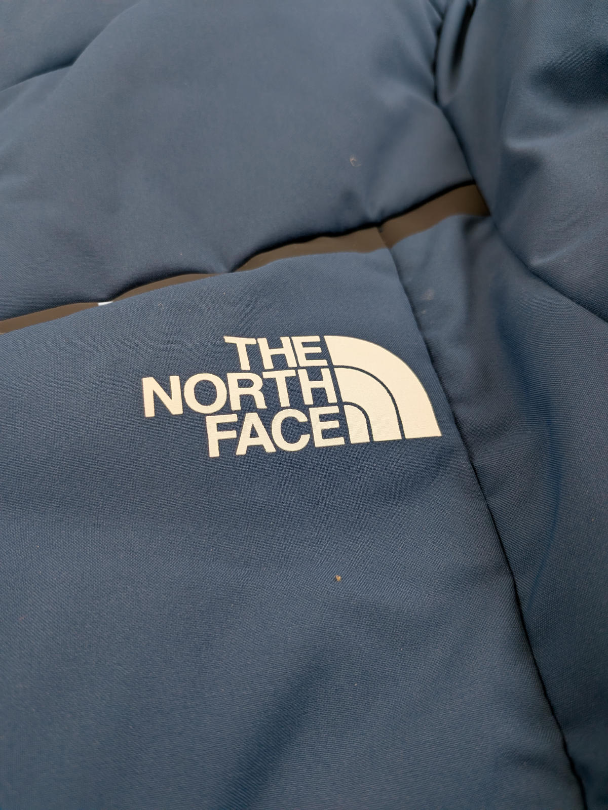 The North Face Mens RAVINA JACKET/BLUE WING TEAL / RRP £250