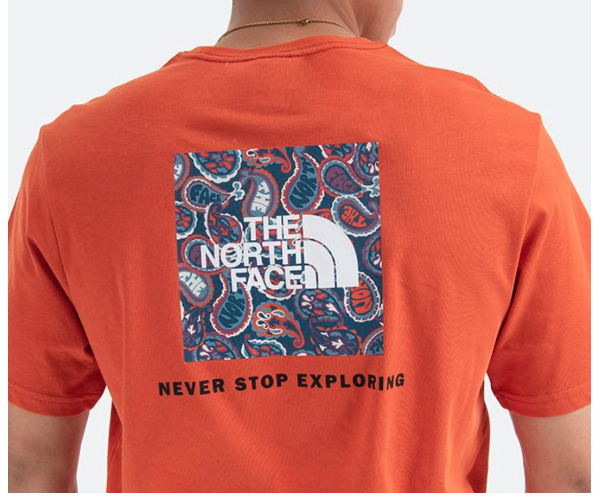 The North Face Mens S/S Red Box Tee / BNWT / Burnt Ochre / RRP £30