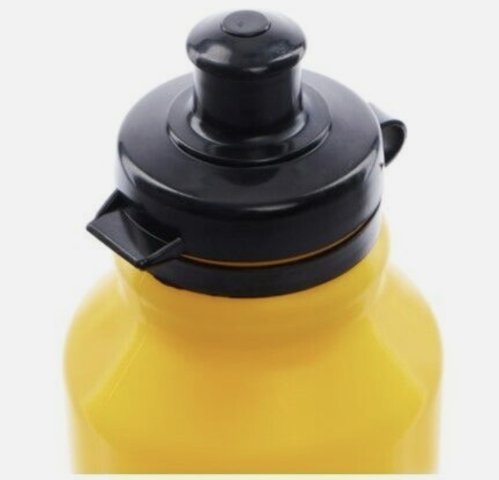 Fair Play Euro 96 Iconic Rare Water Bottle / Brand New