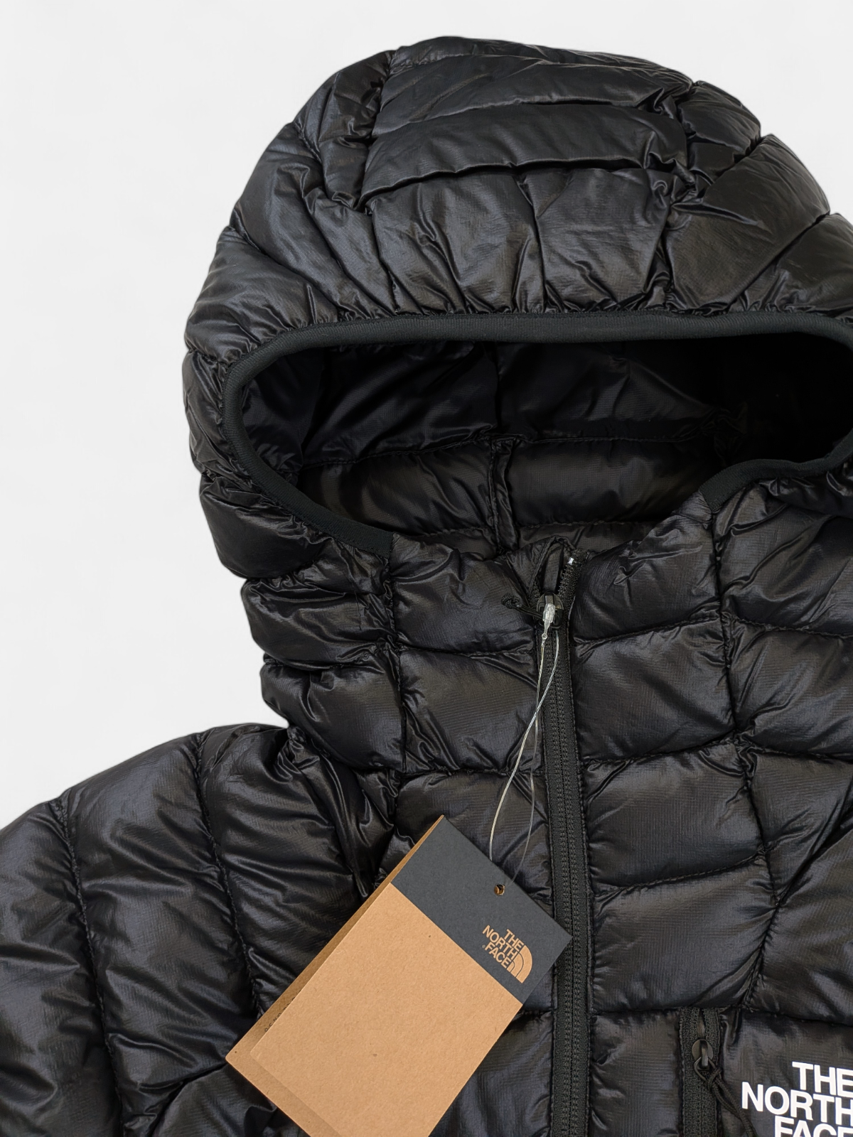 1c210fd3-58d7-4d9b-84ef-0d14cee07f67