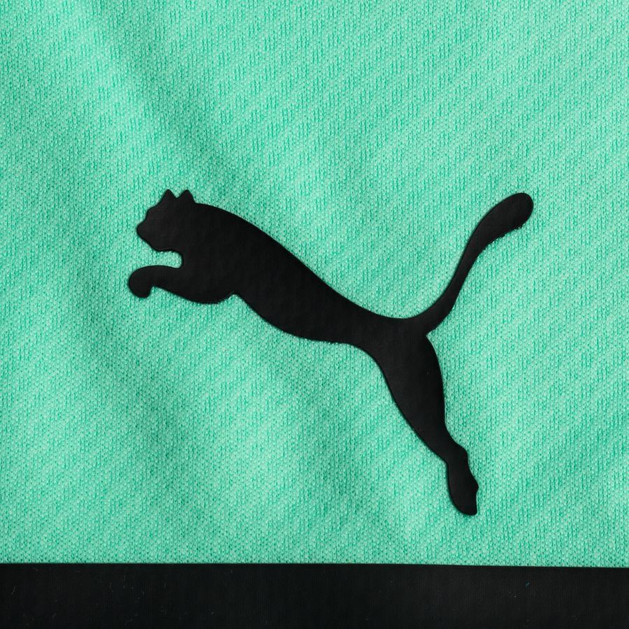 Puma Mens 2021-22 Manchester City Gk Shirt / Green / RRP £69.99